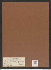 Triceratium abyssale Castr. (de-Toni-Nr.: Genus 140, Species 3909) Zeichnungen Sammlung Grunow Mappe 03935 (Herbarium_W_Grunow_drawings_Folder_03935)